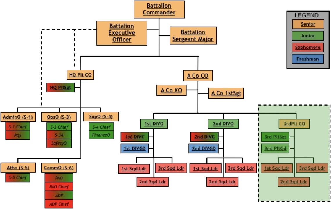 battalion organization